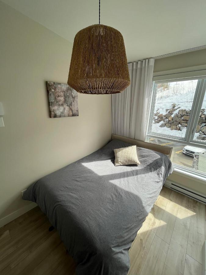 Le Riverain - Condo Neuf Au Bord De L'Eau Shawinigan Esterno foto