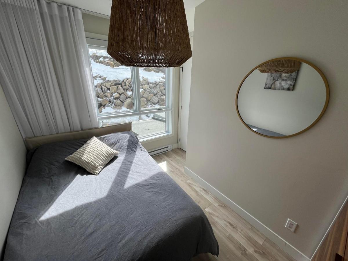 Le Riverain - Condo Neuf Au Bord De L'Eau Shawinigan Esterno foto